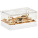Clear plastic terrarium with ventilation holes housing a tarantula on a rock with desert sand, stones, and driftwood