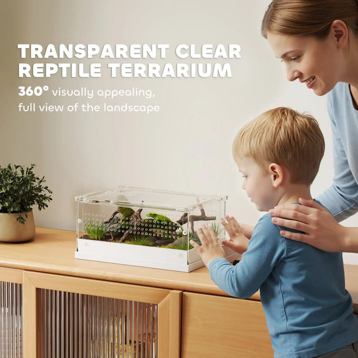 Woman and child observing a transparent clear reptile terrarium with green lizard and plants on wooden cabinet