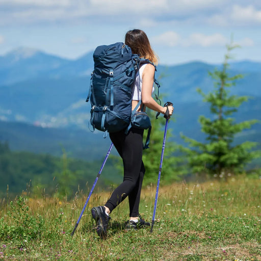 Adjustable Hiking Pole in Navy 65-135cm - Little and Giant Explorers Costway