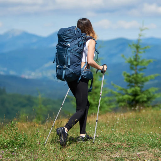 Adjustable Hiking Pole in Silver 65-135cm - Little and Giant Explorers Costway