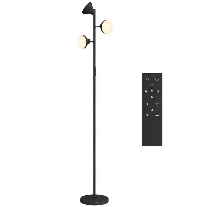 Black floor lamp with remote control on a white background