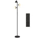 Black floor lamp with remote control on a white background