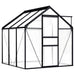 Aluminium Greenhouse in Anthracite 3.61m² - Little and Giant Explorers vidaXL