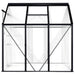 Aluminium Greenhouse in Anthracite 3.61m² - Little and Giant Explorers vidaXL