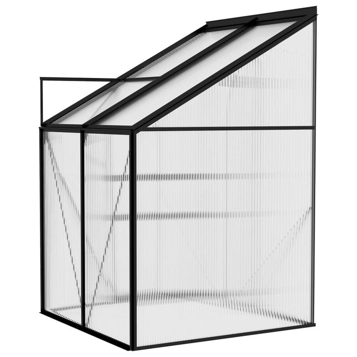 Aluminium Greenhouse in Anthracite 2.59m³ - Little and Giant Explorers vidaXL