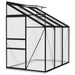 Aluminium Greenhouse in Anthracite 3.97m³ - Little and Giant Explorers vidaXL