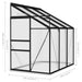 Aluminium Greenhouse in Anthracite 3.97m³ - Little and Giant Explorers vidaXL