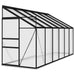 Aluminium Greenhouse in Anthracite 7.77m³ - Little and Giant Explorers vidaXL