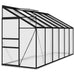 Aluminium Greenhouse in Anthracite 7.77m³ - Little and Giant Explorers vidaXL