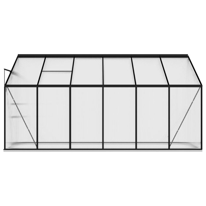 Aluminium Greenhouse in Anthracite 7.77m³ - Little and Giant Explorers vidaXL