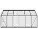 Aluminium Greenhouse in Anthracite 7.77m³ - Little and Giant Explorers vidaXL