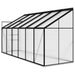 Aluminium Greenhouse in Anthracite 7.77m³ - Little and Giant Explorers vidaXL