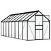 Aluminium Greenhouse in Anthracite 9.31m² - Little and Giant Explorers vidaXL