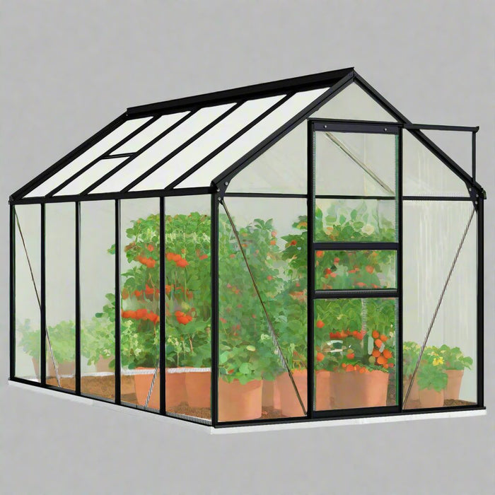 Aluminium Greenhouse with Base Frame in Anthracite 5.89m² - Little and Giant Explorers vidaXL