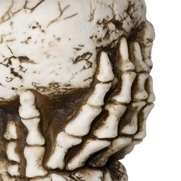 Animated Halloween Skeleton Candy Bowl – Sound Activated Prop | Green LED Eyes and Creepy Howling HOMCOM - Little and Giant Explorers HOMCOM