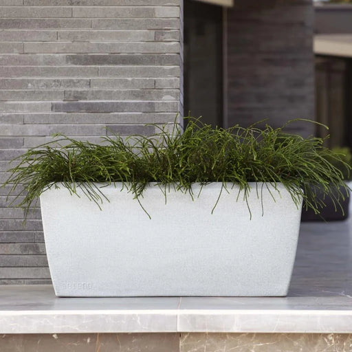 Ivory granite rectangular planter with green foliage, modern exterior stone wall background