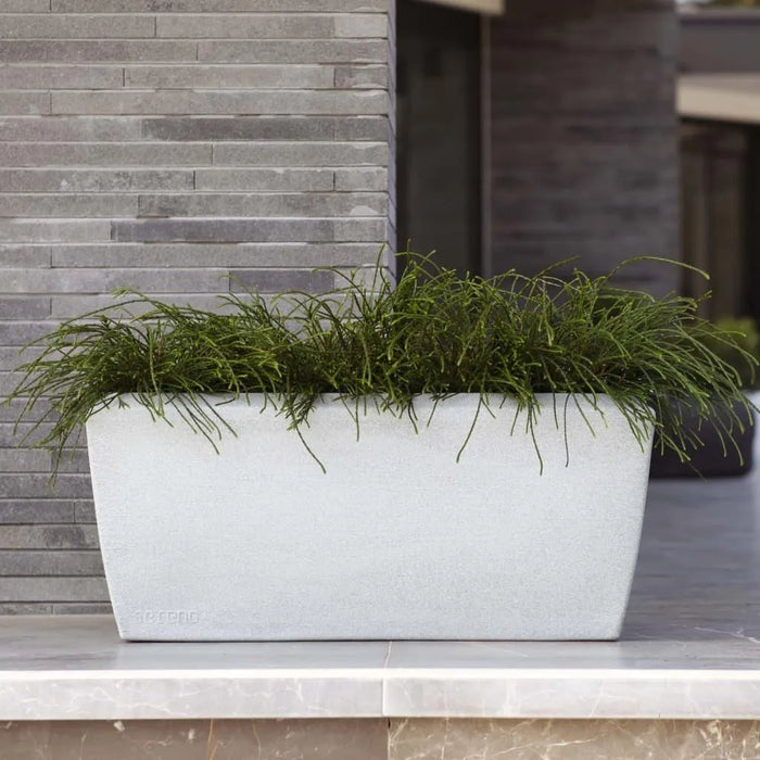 Ivory granite rectangular planter with green foliage, modern exterior stone wall background