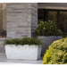 Ivory granite design planters with green plants outside modern contemporary building
