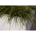 Modern ivory granite planter with green foliage, contemporary outdoor planter design
