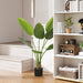 Potted plant in a room with a bookshelf and decorative items