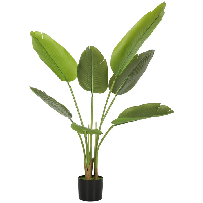 Potted plant with large green leaves on a white background