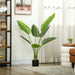 Large potted plant in a living room setting with a bookshelf and window in the background.
