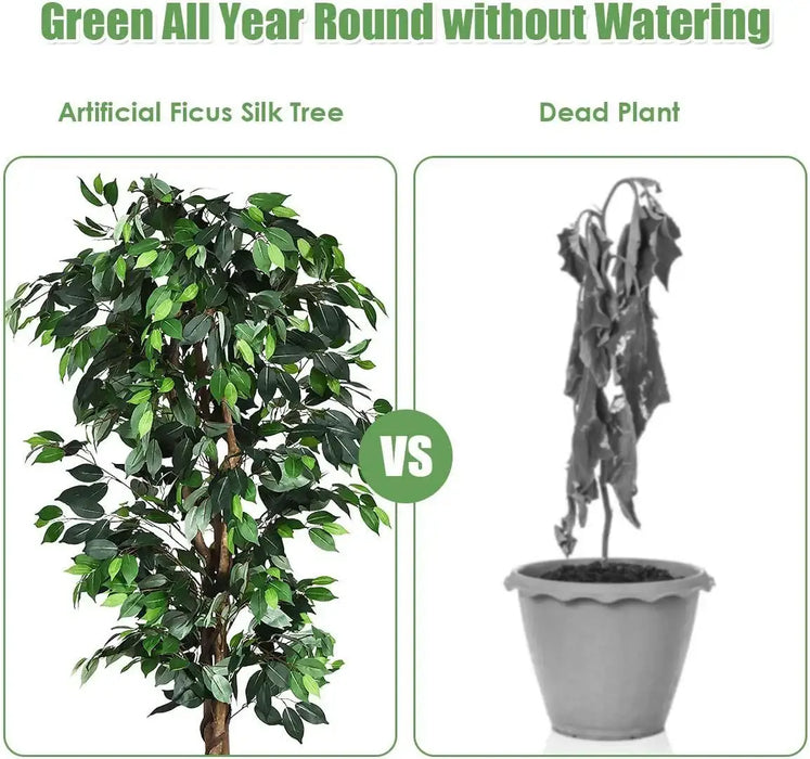 Comparison between an artificial Ficus Silk Tree and a dead plant, with text indicating 'Green All Year Round without Watering'.