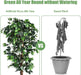 Comparison between an artificial Ficus Silk Tree and a dead plant, with text indicating 'Green All Year Round without Watering'.
