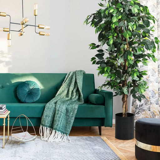 Living room with a green sofa, decorative plant, and stylish decor elements.