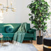 Living room with a green sofa, decorative plant, and stylish decor elements.