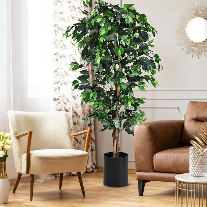 Decorative indoor plant in a living room setting with a brown armchair and white chair.