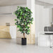 Potted plant in a modern office setting