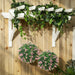 Two artificial hanging lavender topiary balls with pink flowers under a white wooden pergola adorned with green ivy