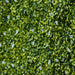 Artificial Milan Grass Wall Panels – Set of 12 | 3㎡ Coverage - Faux Greenery Fence Panels OUTSUNNY - Little and Giant Explorers Outsunny