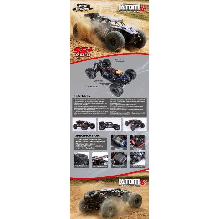 Atom 6S 95KM/H Extreme Speed 1:8 RTR RC Desert Buggy with Twin Lipos - Little and Giant Explorers FS Racing