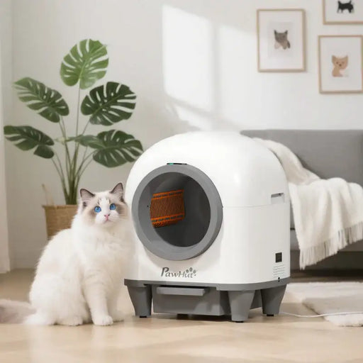Automatic Cat Litter Box | Self-Cleaning Electric Litter Tray with App Control PAWHUT - Little and Giant Explorers PawHut
