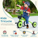 Baby Trike – Green Toddler Tricycle | Adjustable Seat, Basket and Bell AIYAPLAY - Little and Giant Explorers AIYAPLAY