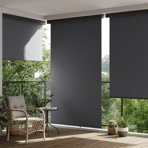 Balcony Side Awning in Black - Little and Giant Explorers vidaXL