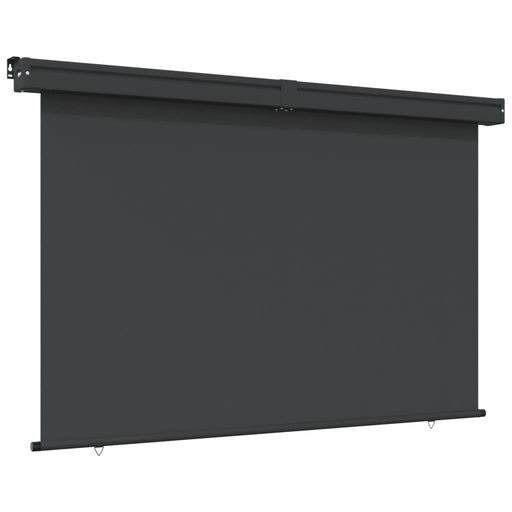 Balcony Side Awning in Black - Little and Giant Explorers vidaXL