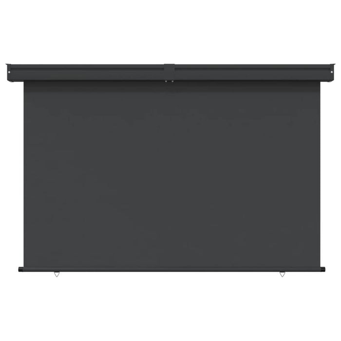 Balcony Side Awning in Black - Little and Giant Explorers vidaXL