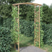 Bamboo garden arch with climbing plants in a rustic outdoor setting, weather-resistant arbour