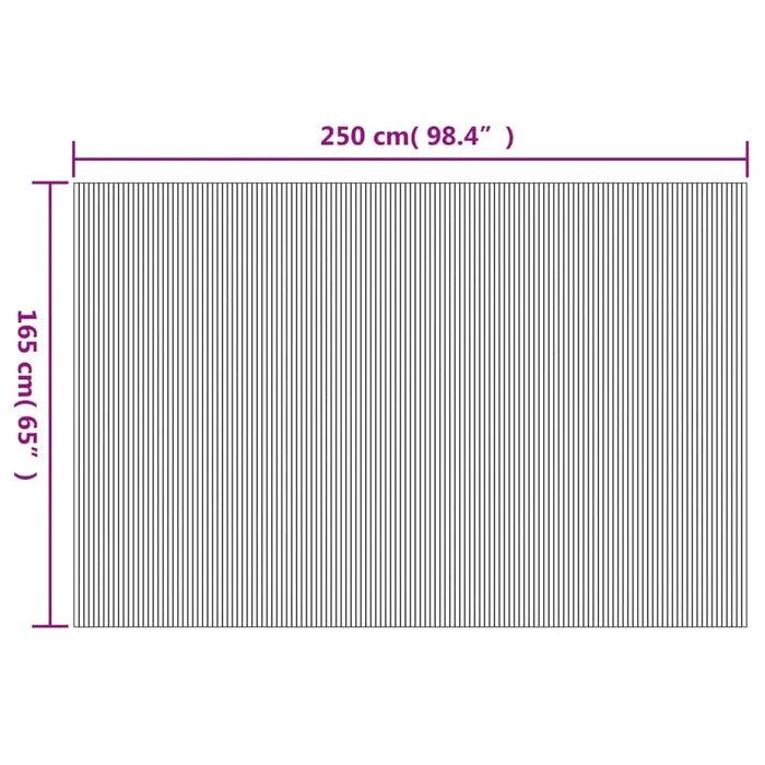 Measurement chart with dimensions of 250 cm and 165 cm on a white background