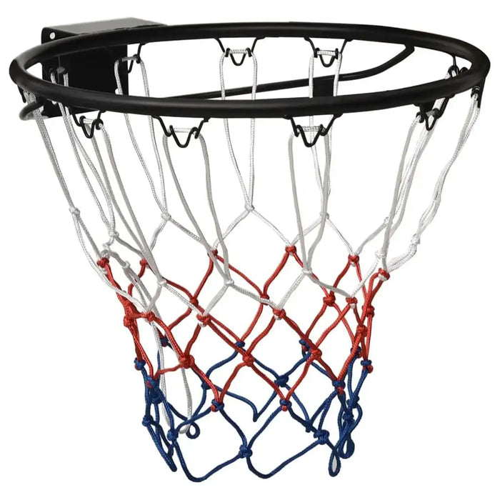 Basketball Ring in Black 45cm - Little and Giant Explorers vidaXL
