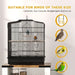 Bird Cage – Black | Small Parrot and Budgie Aviary - Perches, Swing and Food Bowls PAWHUT - Little and Giant Explorers PawHut
