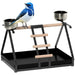Bird Stand – Stainless Steel Base | Wooden Perch, Ladder and 2 Feeding Bowls PAWHUT - Little and Giant Explorers PawHut