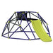 Blue Hexagonal Dome Climber with Slide | Metal Powder-Coated Steel Construction - Little and Giant Explorers vidaXL