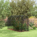 Brassica Netting Cage | Black - Walk-In Fruit and Vegetable Protection Tunnel OUTSUNNY - Little and Giant Explorers Outsunny