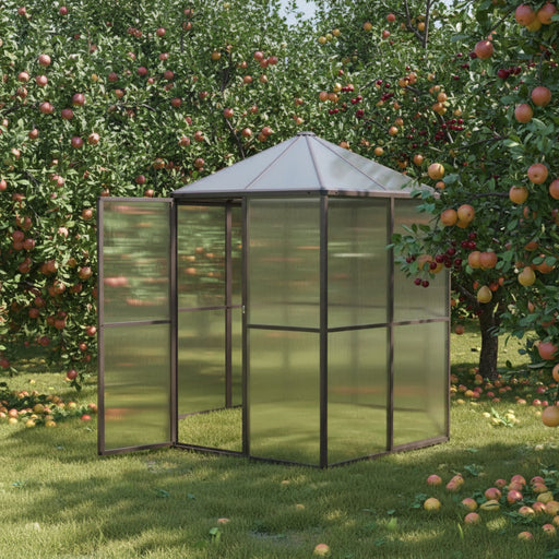 Aluminium Greenhouse (240 x 211 x 232cm) - Little and Giant Explorers vidaXL