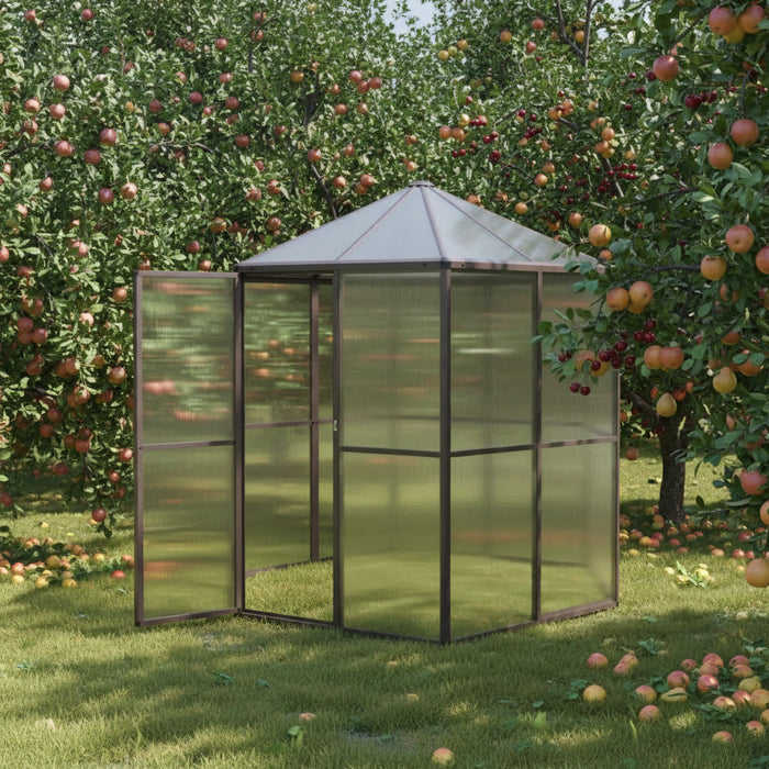 Aluminium Greenhouse (240 x 211 x 232cm) - Little and Giant Explorers vidaXL
