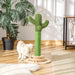 Cat playing beside cactus-shaped cat tree with sisal rope and hanging ball in sunlit room